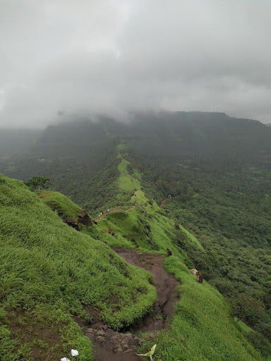 Tikona Trek: Menjelajahi Monsoon Treks di Maharashtra