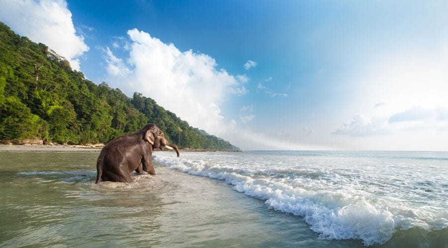 10 tujuan pantai teratas di India Anda harus mengunjungi
